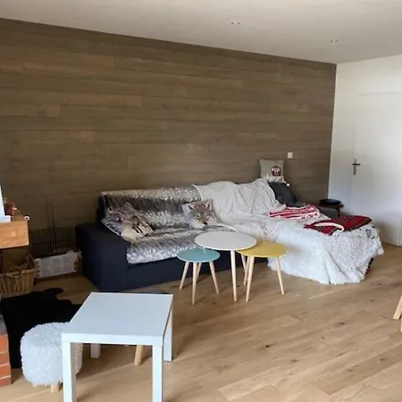 Bonascre Superbe Pied De Piste Appartement *